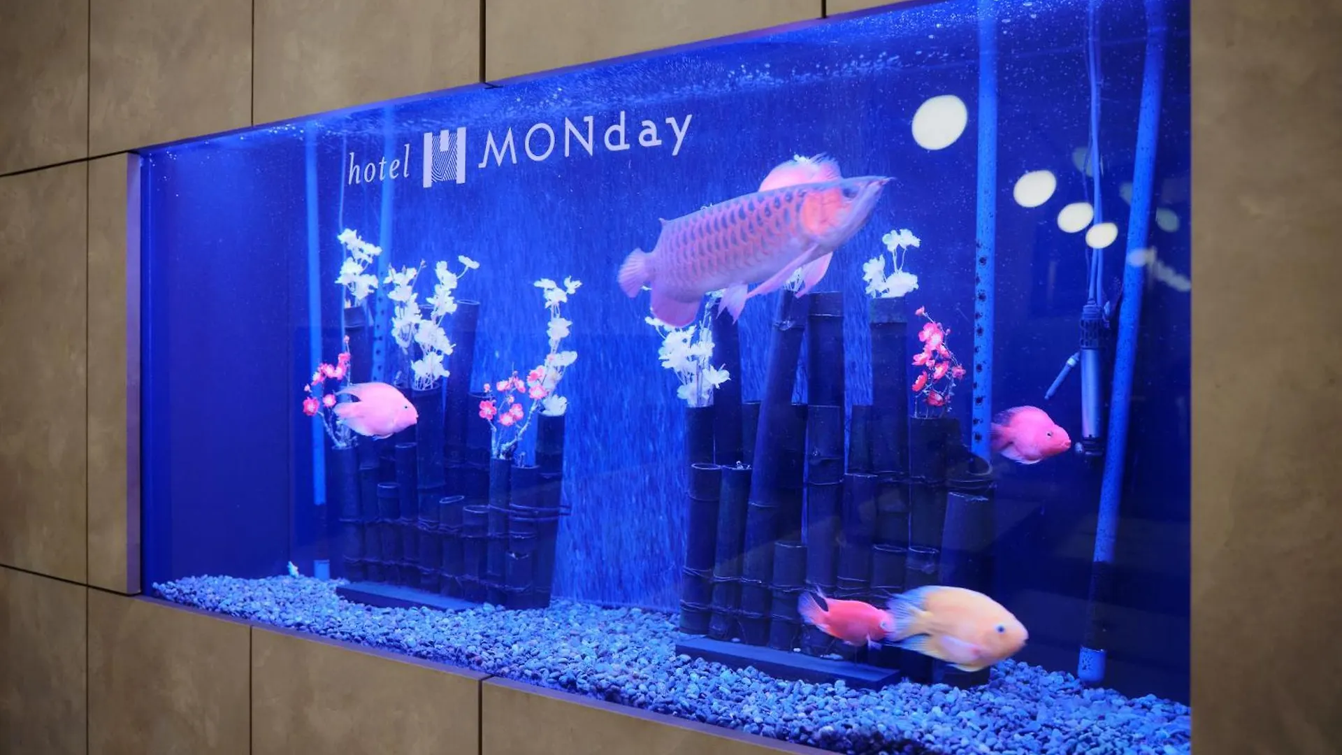 Hotel Monday Premium Toyosu Tokio 3*,